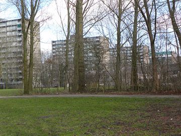 Flats Vinkhuizen (Groningen) van MariÃ«lle Reenders