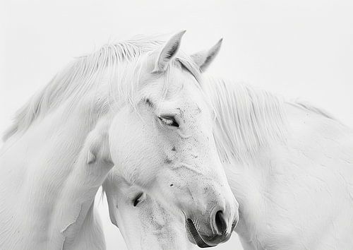 Two Affectionate Horses in a Tender, Quiet Embrace