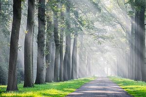 Landgoed Ampsen