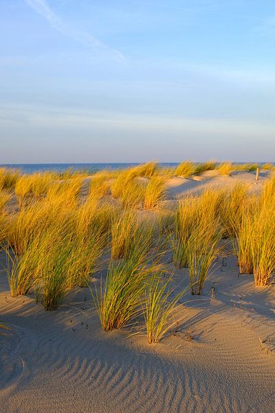evening sun by Ostsee Bilder