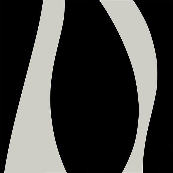 Black Abstract Organic Geometric Shapes no. 9 by Dina Dankers