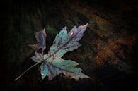 Herfstblad op boomstronk van Ruud Peters thumbnail