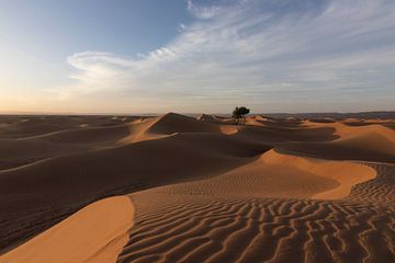 Désert de M'Hamid | Maroc | Tirage photo de voyage sur Kimberley Helmendag