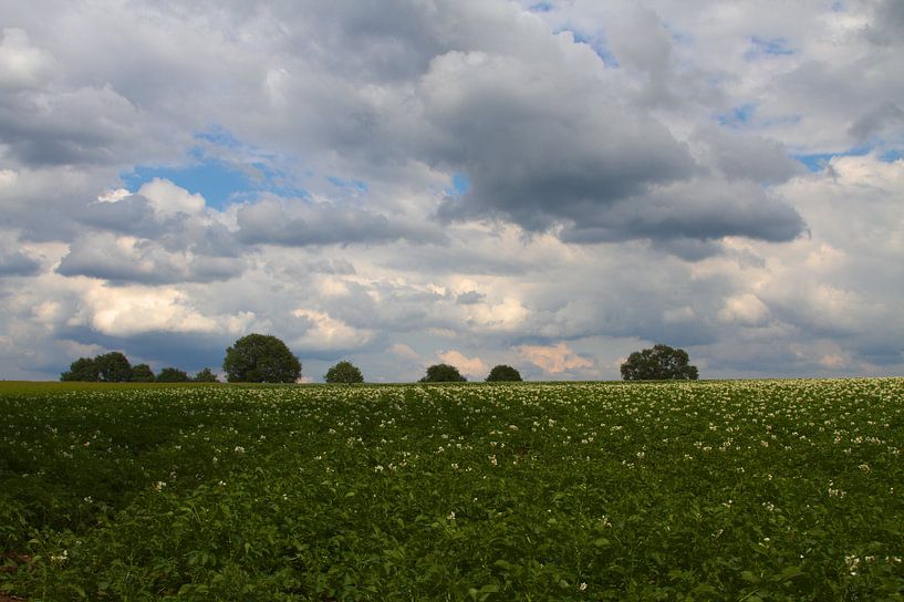 Lenteweide by Edwin Martens