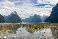 Milford Sound in New Zealand