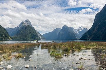 Milford Sound in Nieuw-Zeeland van Linda Schouw