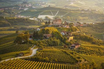 Golden Hour on Historic Grinzane Castle and Langhe Vineyards by Stefano Orazzini