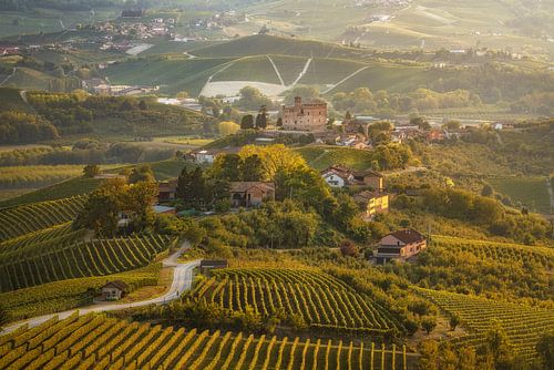 Gouden Uur op Historisch Kasteel Grinzane en Langhe Wijngaarden