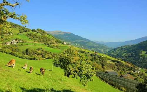 Herbst im Eisacktal - Südtirol