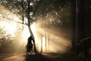 Biking through spectacular sunbeams in the forest von Arthur Puls Photography