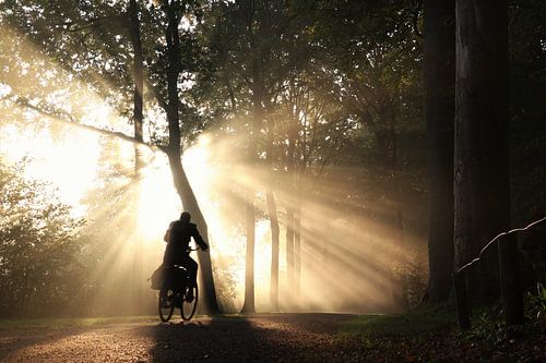 Biking through spectacular sunbeams in the forest