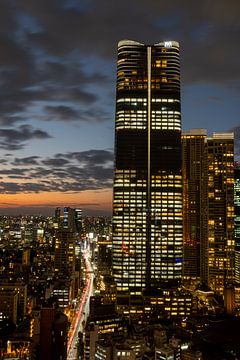 Evening light over the Tokyo skyline by Marco Leeggangers