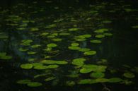 'The Water Trip 2' (2020) van Jacques Vledder thumbnail