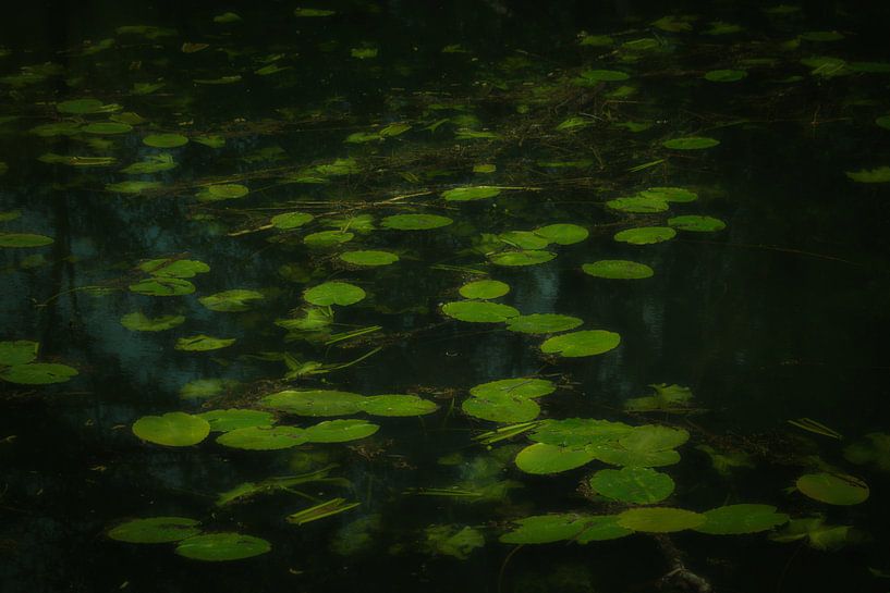 'The Water Trip 2' (2020) van Jacques Vledder