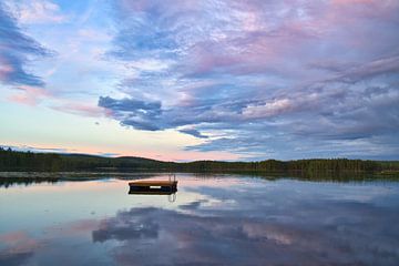 Drijvend eiland in een Zweeds meer van Martin Köbsch