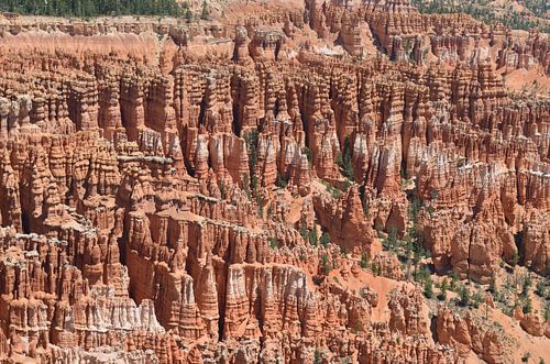 Bryce National Park Utah. Hoodoos.
