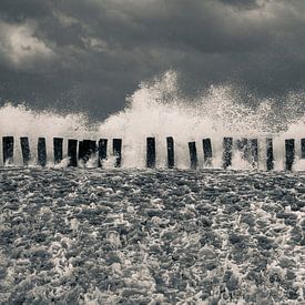 mer du Nord agitée sur Stephan Zaun