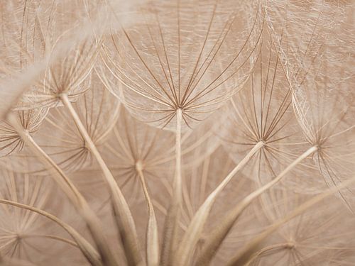 Samen met elkaar zijn we een!