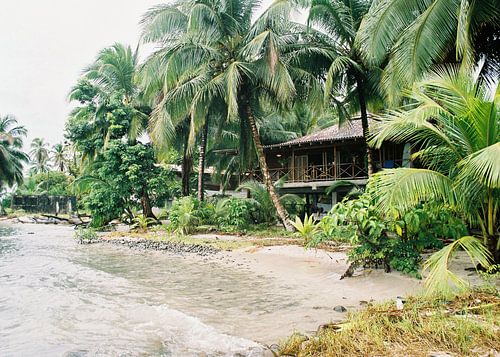 Paradise found