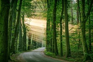 There's always light in the dark by Lars van de Goor