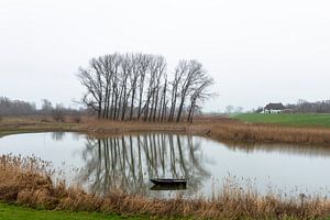Ooijpolder 1