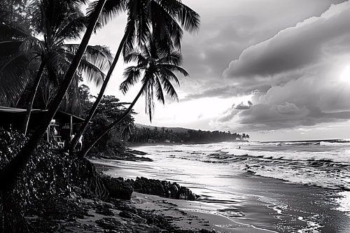Zwart-wit strand met palmbomen