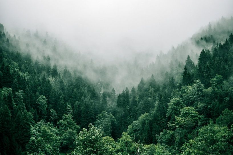 Mother Nature by Hello Pompoyo
