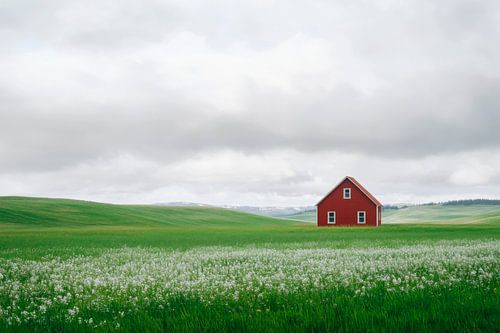 Rood Huis Weide