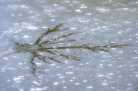 Abstract beeld van scheuren in het ijs van ManfredFotos thumbnail
