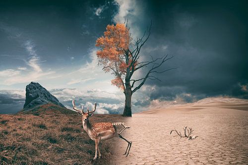 Beeldmanipulatie over Opwarming van de Aarde - Visuele Vertelling over Klimaatverandering