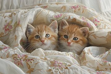 les chats dans et autour de la maison sur Egon Zitter