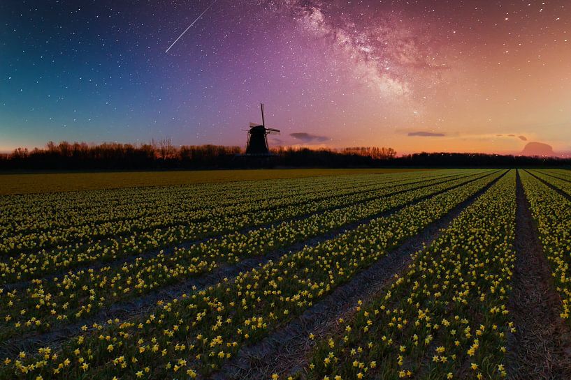 Starry Night by peterheinspictures