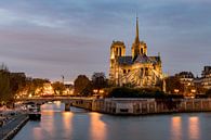 Notre Dame bei Einbruch der Dunkelheit von Henk Verheyen Miniaturansicht