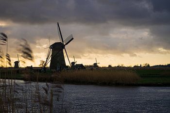 Das schöne Kinderdijk: Ein Bild der niederländischen Tradition und Natur