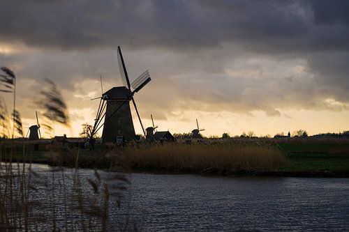 La belle Kinderdijk : une image de la tradition néerlandaise et de la nature