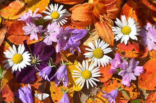 Een boeket bloemen in de tuin