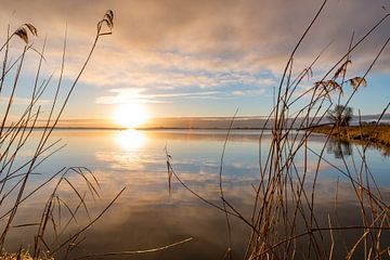 reeuwijk von Remco-Daniël Gielen Photography