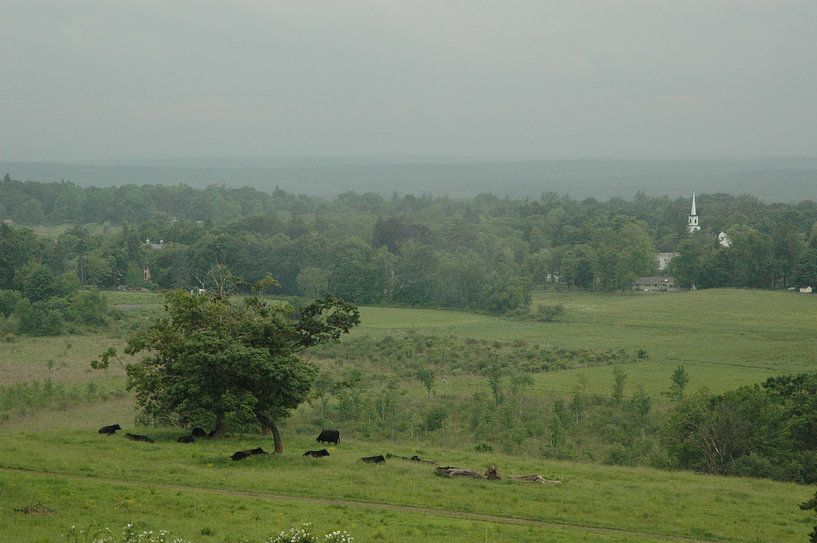 Landscape in Massachusetts par Barbara Koppe