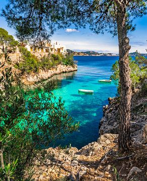 Baai van Cala Fornells op Mallorca, Spanje Middellandse Zee van Alex Winter