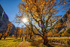 Großer Ahornboden von Einhorn Fotografie