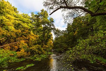 Landschap in de herfst in het Warnow-doorbraakdal bij Groß Görnow van Rico Ködder