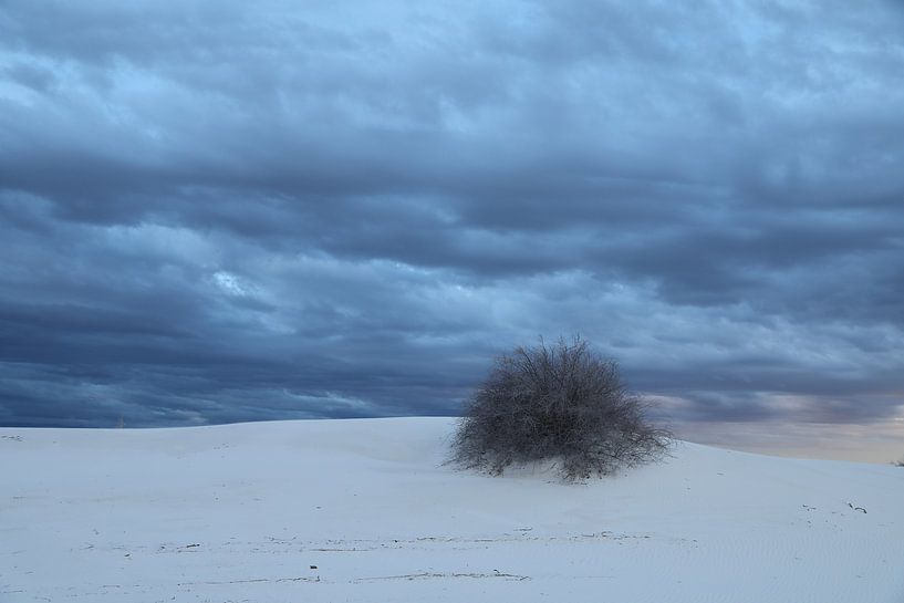 White Sands Dunes National Monument in New Mexico USA van Frank Fichtmüller