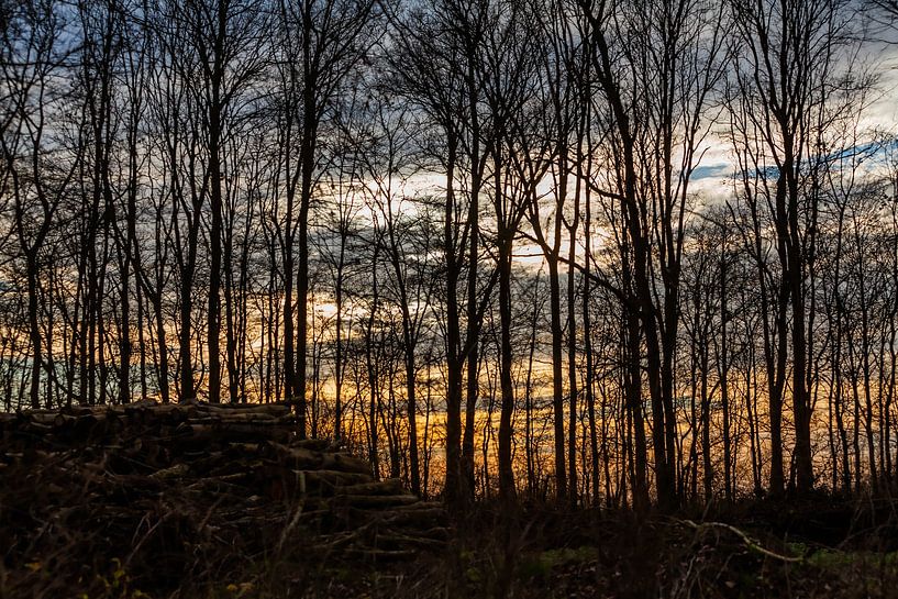 Kleurrijke natuur van Hartsema fotografie