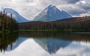 Jasper National Park, staat Alberta, Canada van Alexander Ludwig