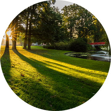 Zonnestralen in Park Valkenberg van JPWFoto