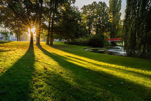 Zonnestralen in Park Valkenberg