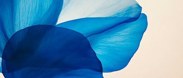Blaues Blumenpetal – Sanfte Eleganz von Poster Art Shop