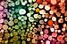 Regenboogbos van Sonja Pixels