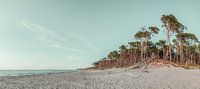 West Beach Panorama van Steffen Gierok thumbnail