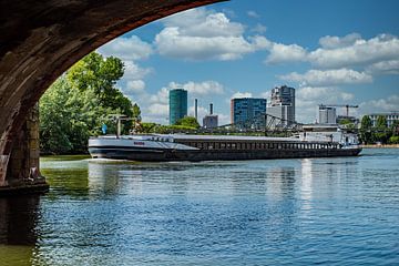 Oude brug in Frankfurt van Thomas Riess